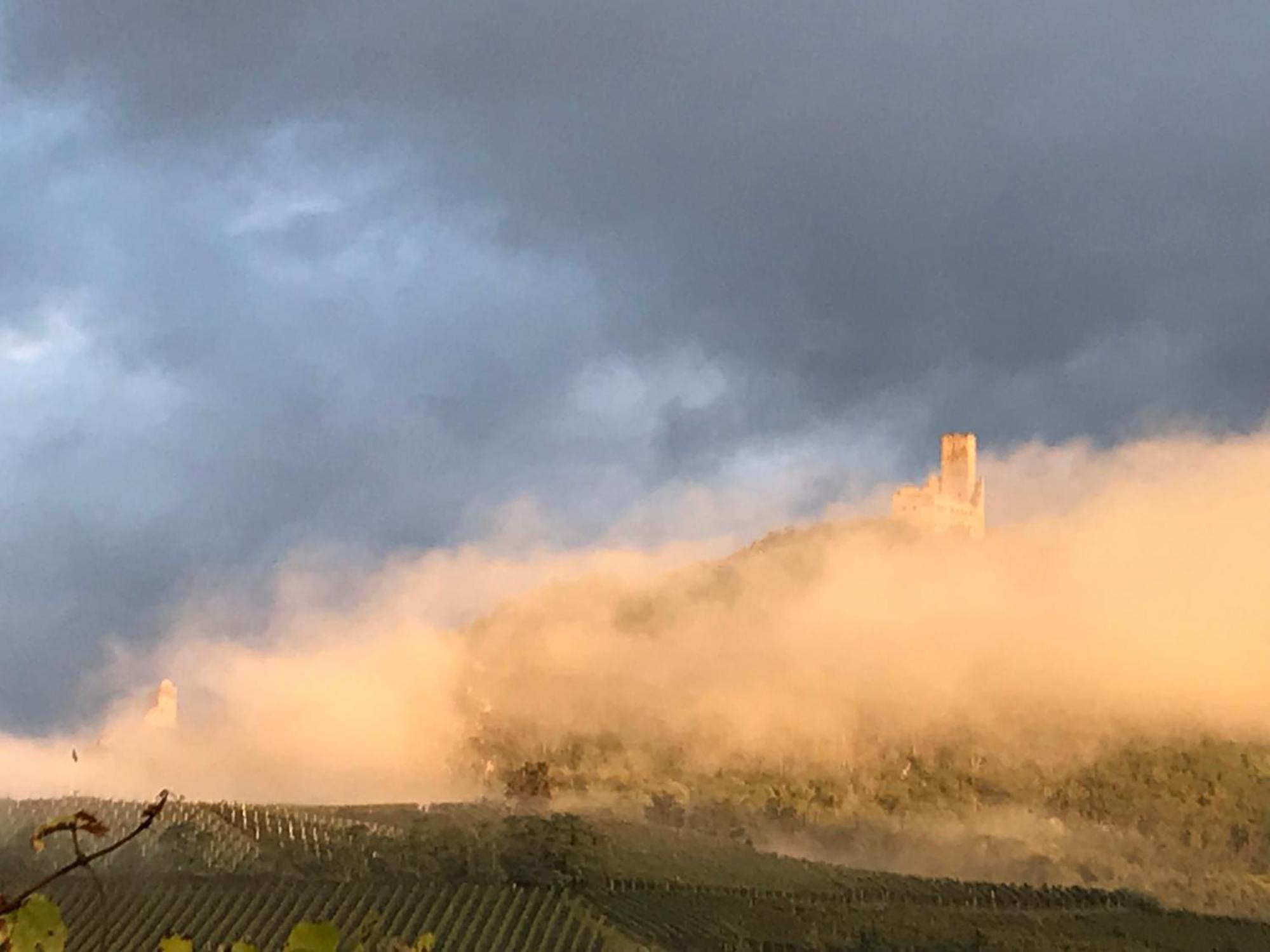 Le Logis Du Vignoble Lejlighed Kintzheim Eksteriør billede